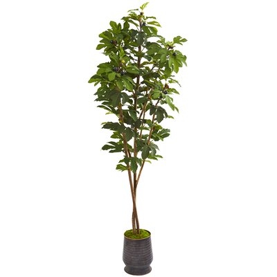 Artificial Fig Tree in Planter - Image 0