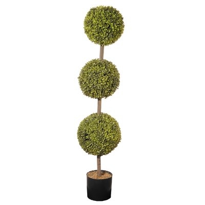 Ball Floor Boxwood Topiary in Pot - Image 0