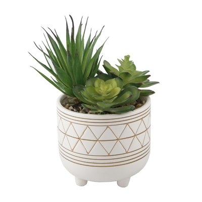 Gold Geo Hand Painted Legs Succulent Plant in Pot - Image 0