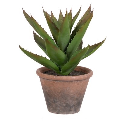 Potted Faux Prince Succulent in Pot - Image 0