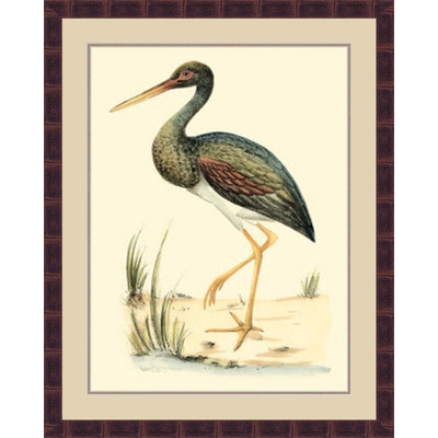 'Water Birds II' Framed Painting Print - Image 0