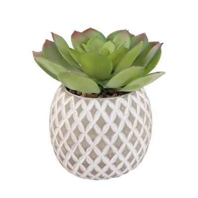 Faux Cement Pineapple Agave Plant in Planter - Image 0