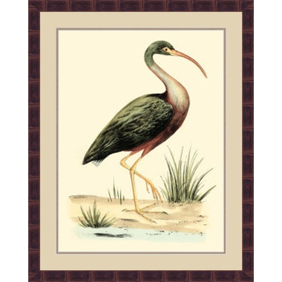 'Water Birds I' Framed Painting Print - Image 0