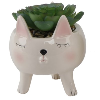 Cute Girl Cat Desktop Succulent Plant in Pot - Image 0