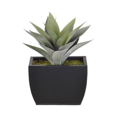 Artificial Frosted Green Succulent Desk Top Plant in Decorative Vase - Image 0