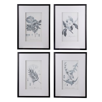 'Botanical' 4 Piece Framed Drawing Print Set - Image 0