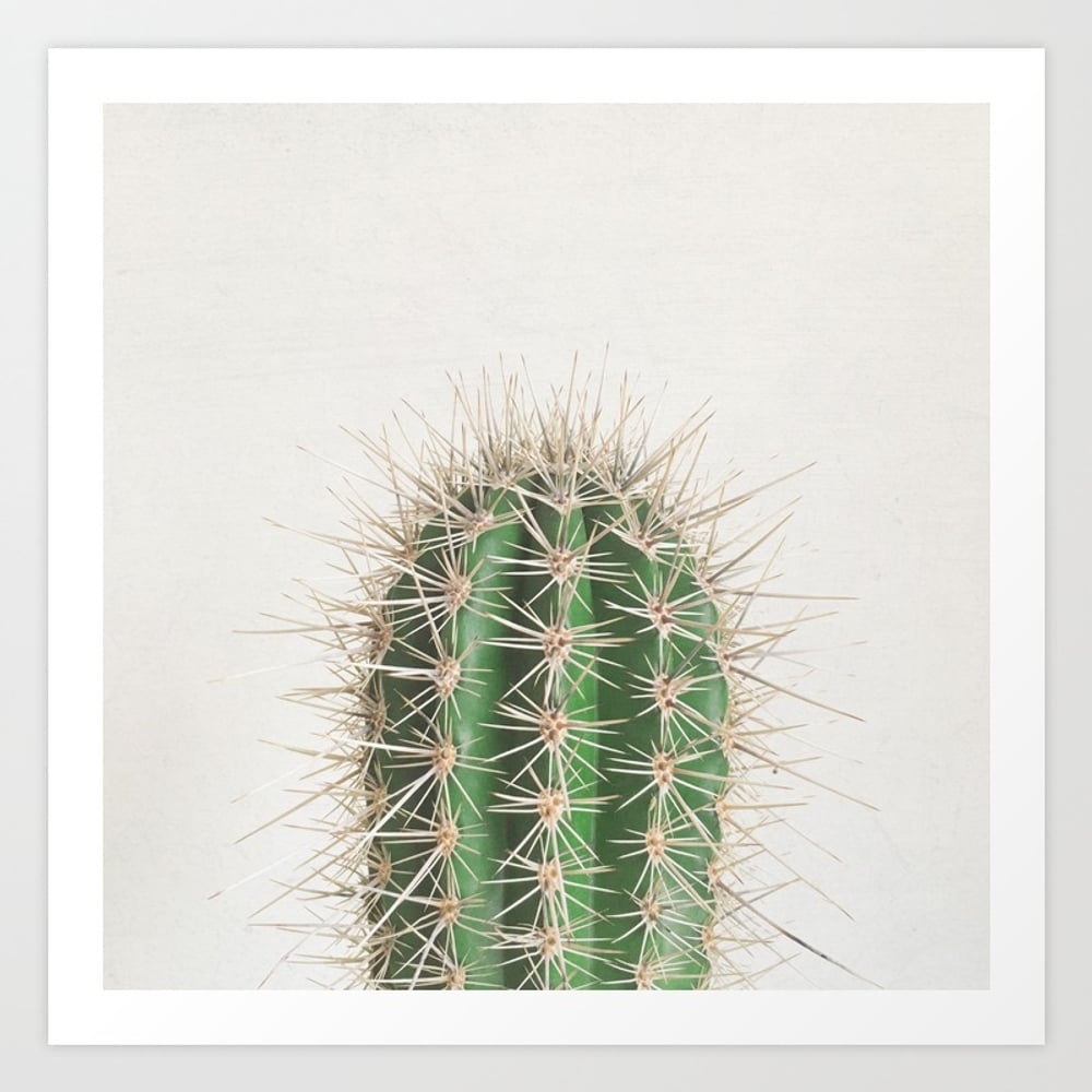 Cactus Art Print by Cassia Beck - X-Small - Image 0