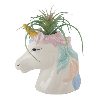Ceramic Unicorn Evergreen Succulent in Decorative Vase - Image 0