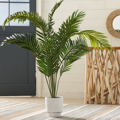Black Hammock Floor Palm Tree in Pot - Image 0