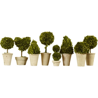 8 Piece Preserved Boxwood Topiary in Pot Set - Image 0