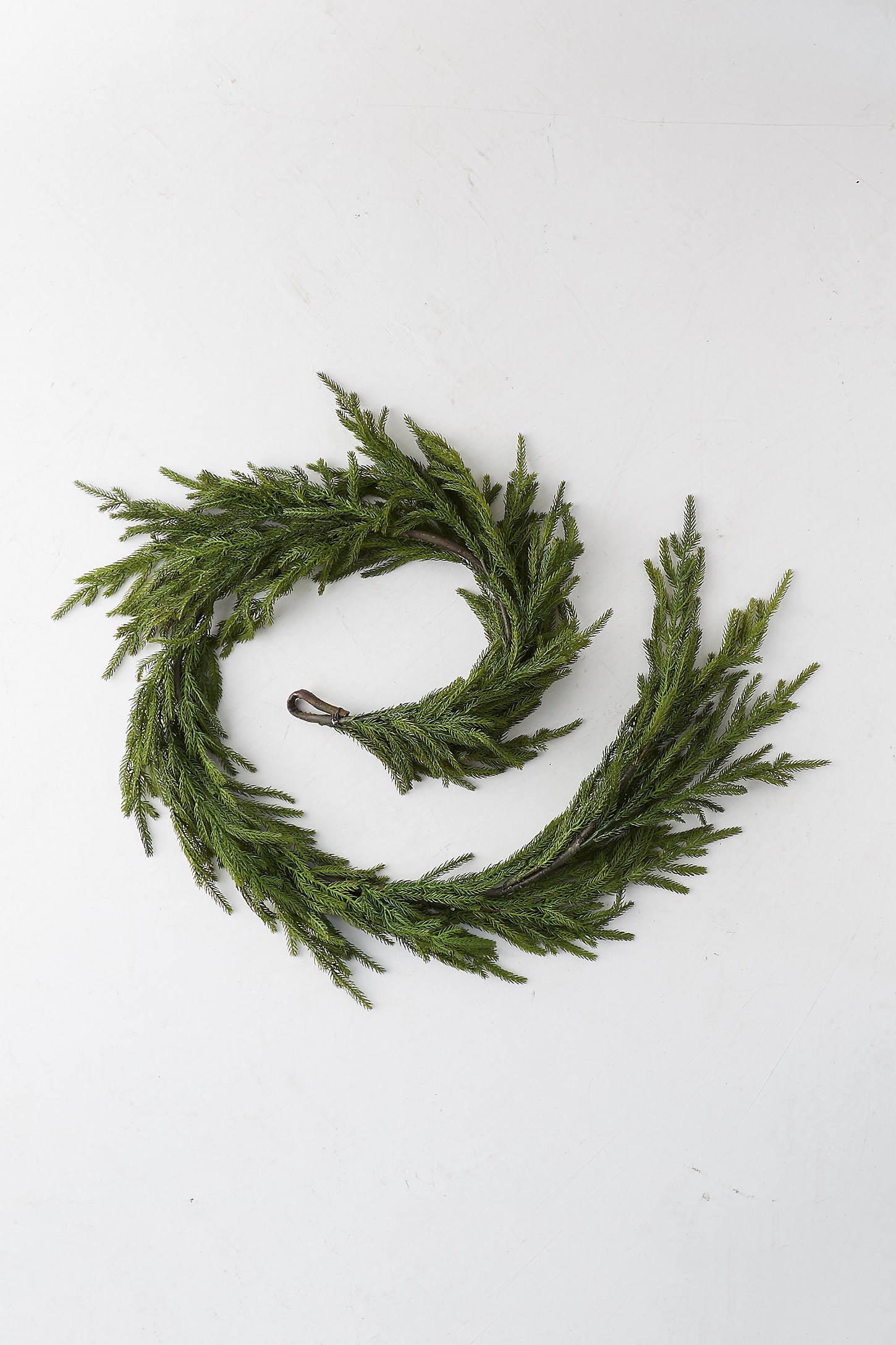 Faux Norfolk Pine Garland, 6' - Image 0
