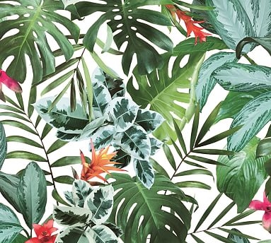 Rainforest Wallpaper Sample - Image 0