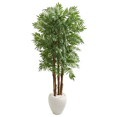 Parlour Artificial Palm Tree in Planter - Image 0