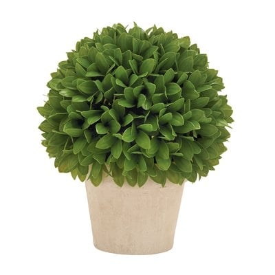 Kinsley Foliage Topiary in Planter - Image 0