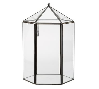 Glass Terrarium, Hexagon - Image 0
