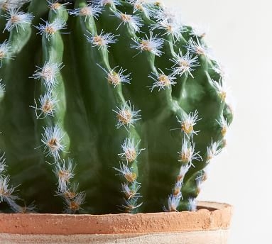 Faux Potted Double Ball Cactus - Image 1