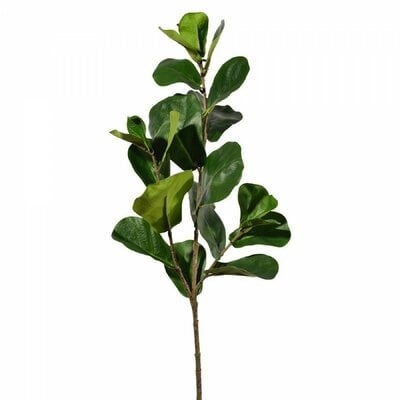 Fiddle Leaf Fig Branch (set of 12) - Image 0