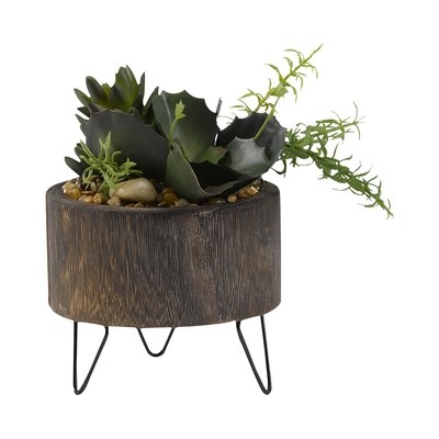 Succulent in Wooden Planter with Legs - Image 0