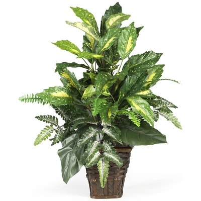 Silk Mixed Greens Foliage Plant in Decorative Vase - Image 0