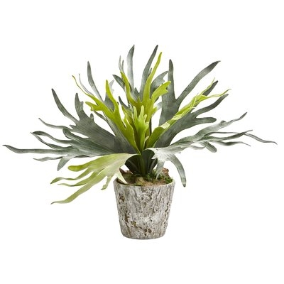 Staghorn Artificial Foliage Plant in Planter - Image 0