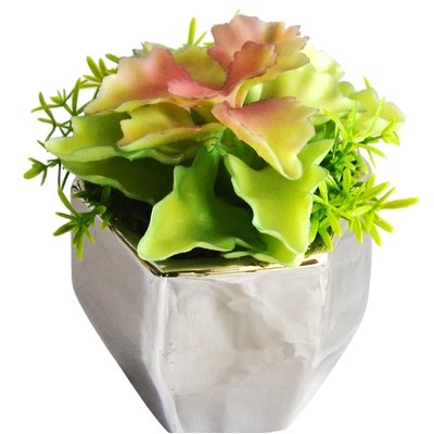Desktop Succulent Plant in Decorative Vase - Image 0