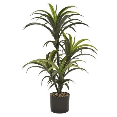 Three Hands Faux Yucca Tree  Pot In Green Polyurethane 26In L X 24In W X 33In H - Image 0
