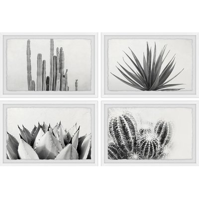 'Cactus Kinds Quadriptych' 4 Piece Framed Photographic Print Set - Image 0