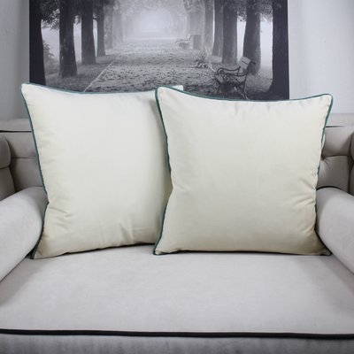 Catanzaro Velvet Throw Pillow - Image 0