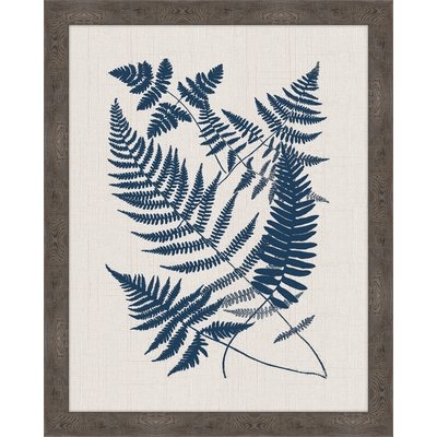 'Buckler Ferns' Framed Graphic Art Print - Image 0