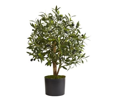 Faux Thin Trunk Olive Tree, 3.5' - Image 1