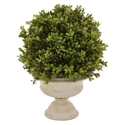 Faux Boxwood Topiary in Pot - Image 0