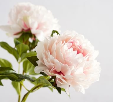 Faux Peony Stems - Pink - Image 3