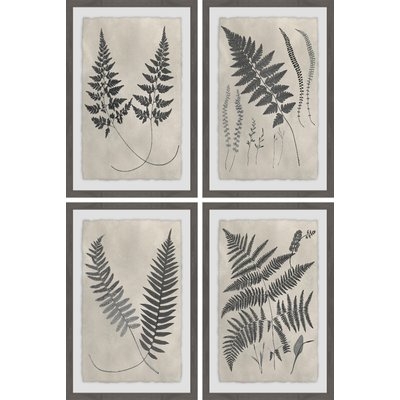 'Vintage Fern Study III Quadriptych' 4 Piece Framed Graphic Art Print Set - Image 0
