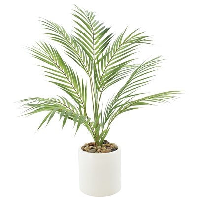 Palm Plant With River Rocks In White Planter - Image 0
