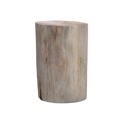 Petrified Wood Side Table, Wood, White - Image 5