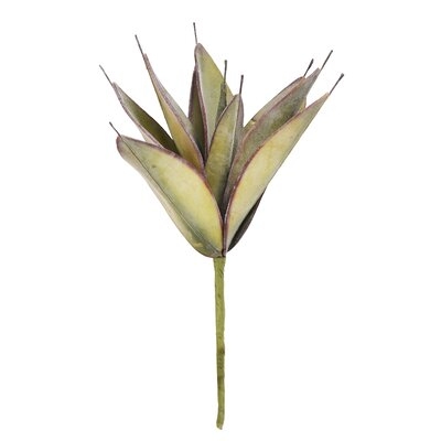 Faux Succulent Stem - Image 0