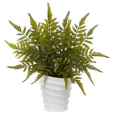 Fern Plant in Planter - Image 0