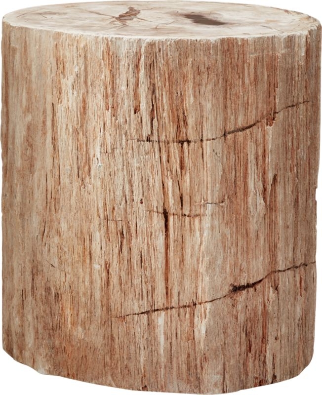 Petrified Wood Side Table - Image 2