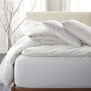 Premium White Down Pillow Insert, Standard - Image 3