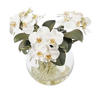 Faux Orchid Phalaenopsis Arrangement in Pot - Image 0