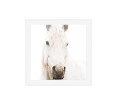 White on White Horse by Jennifer Meyers, 25 x 25", Wood Gallery, White, Mat - Image 0