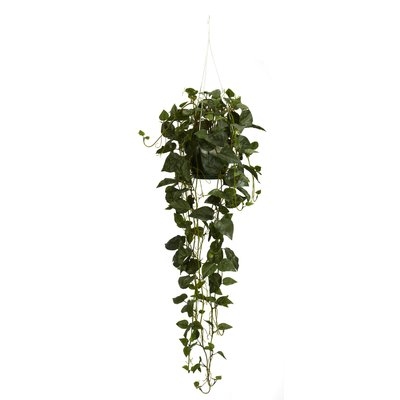 Philodendron Silk Hanging Plant in Basket - Image 0