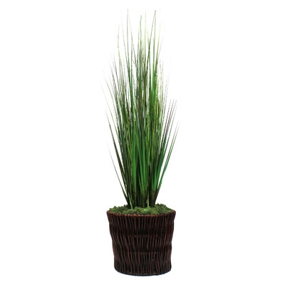 Grasses Floor Plant in Basket - Image 0