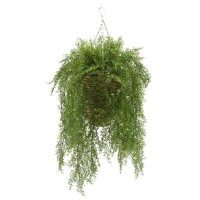 Faux Asparagus Fern in Reed Hanging Basket Ivy Plant - Image 0