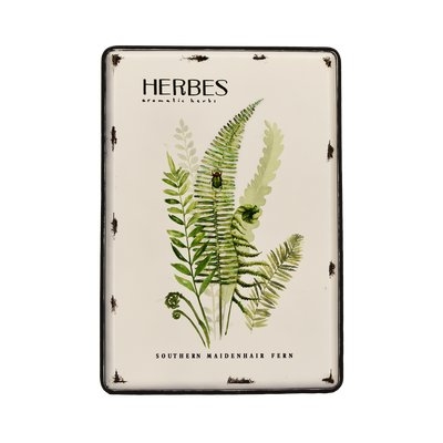 'Herbs' Graphic Art Print on Metal - Image 0