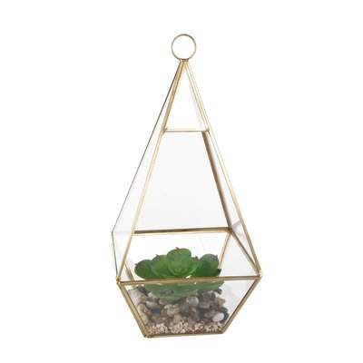 Hanging Succulent Plant in Glass Tri Terrarium - Image 0