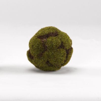 Crackled Moss Ball Plant, Set of 3 - Image 0