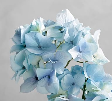 Faux Potted Hydrangea, Light Blue, Double - Image 1