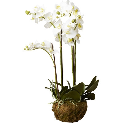 Phalaenopsis Faux Orchids Floral Arrangement - Image 0