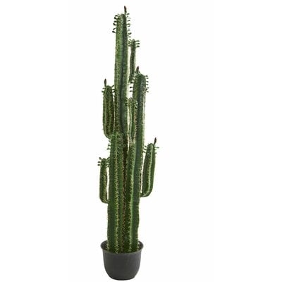 Artificial Cactus Plant in Planter - Image 0
